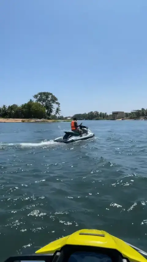 Escape to the Shore